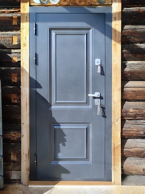 Уличная порошковая дверь Уличная порошковая дверь